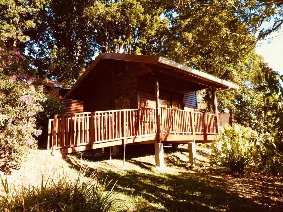 Cabanas San Gerardo San Gerardo de Dota Exterior foto